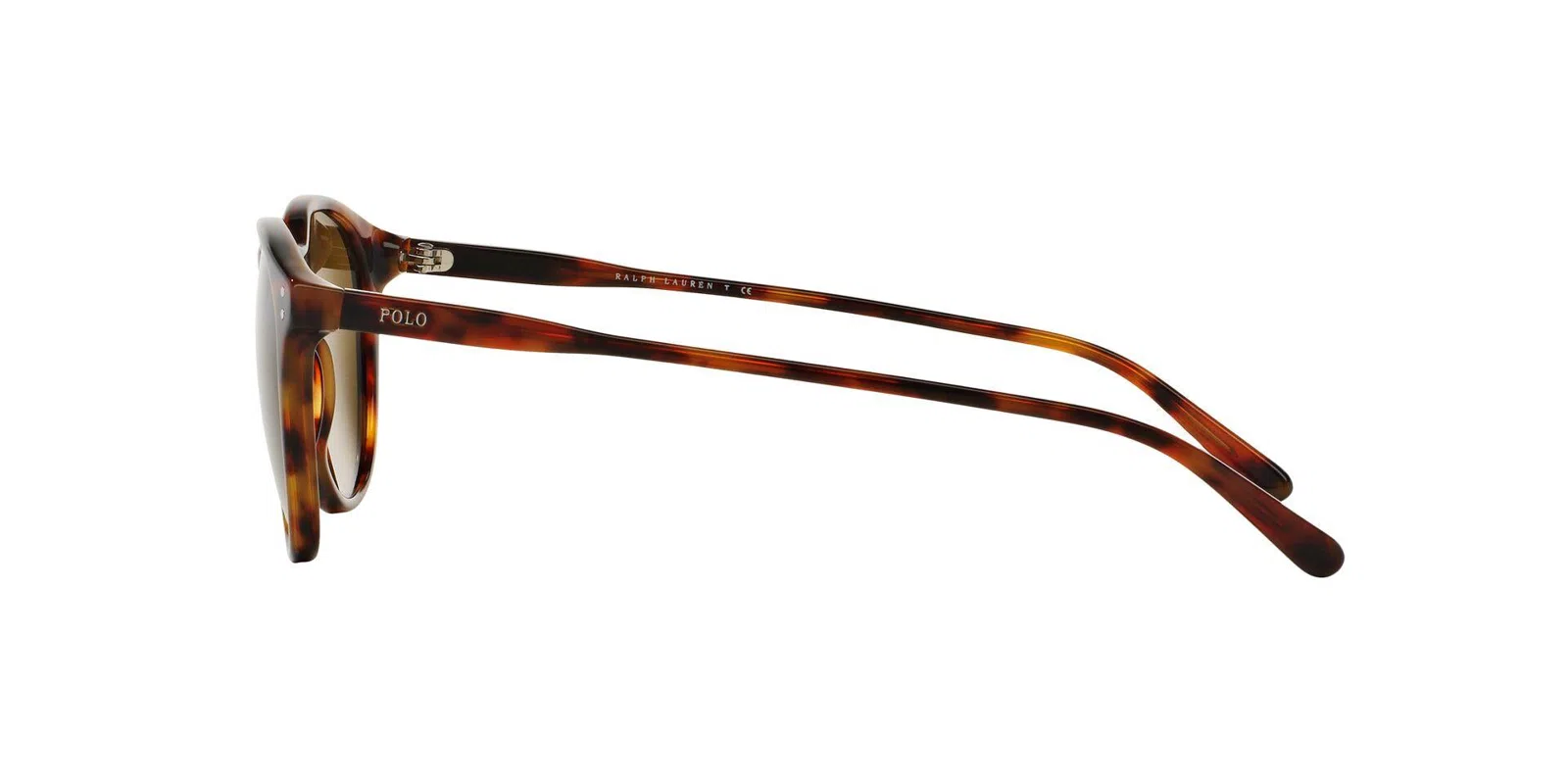 Polo 4110 Sunglasses - view 17